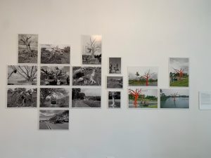 IMG_20200526_104142_01