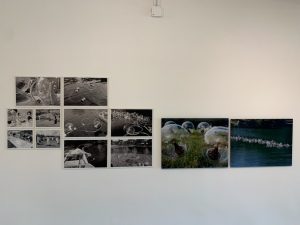 IMG_20200526_104152_01