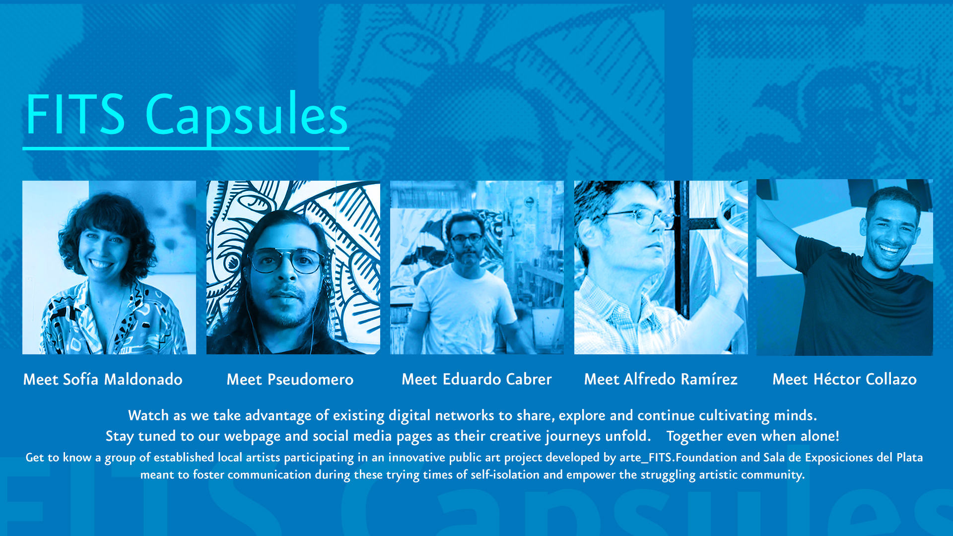 arteFITS-FITS-Capsules-