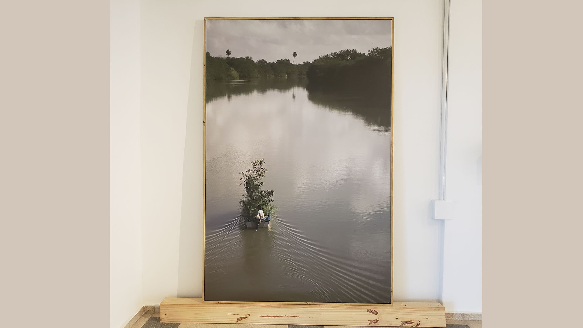 Boat Tree, Omar Camillo