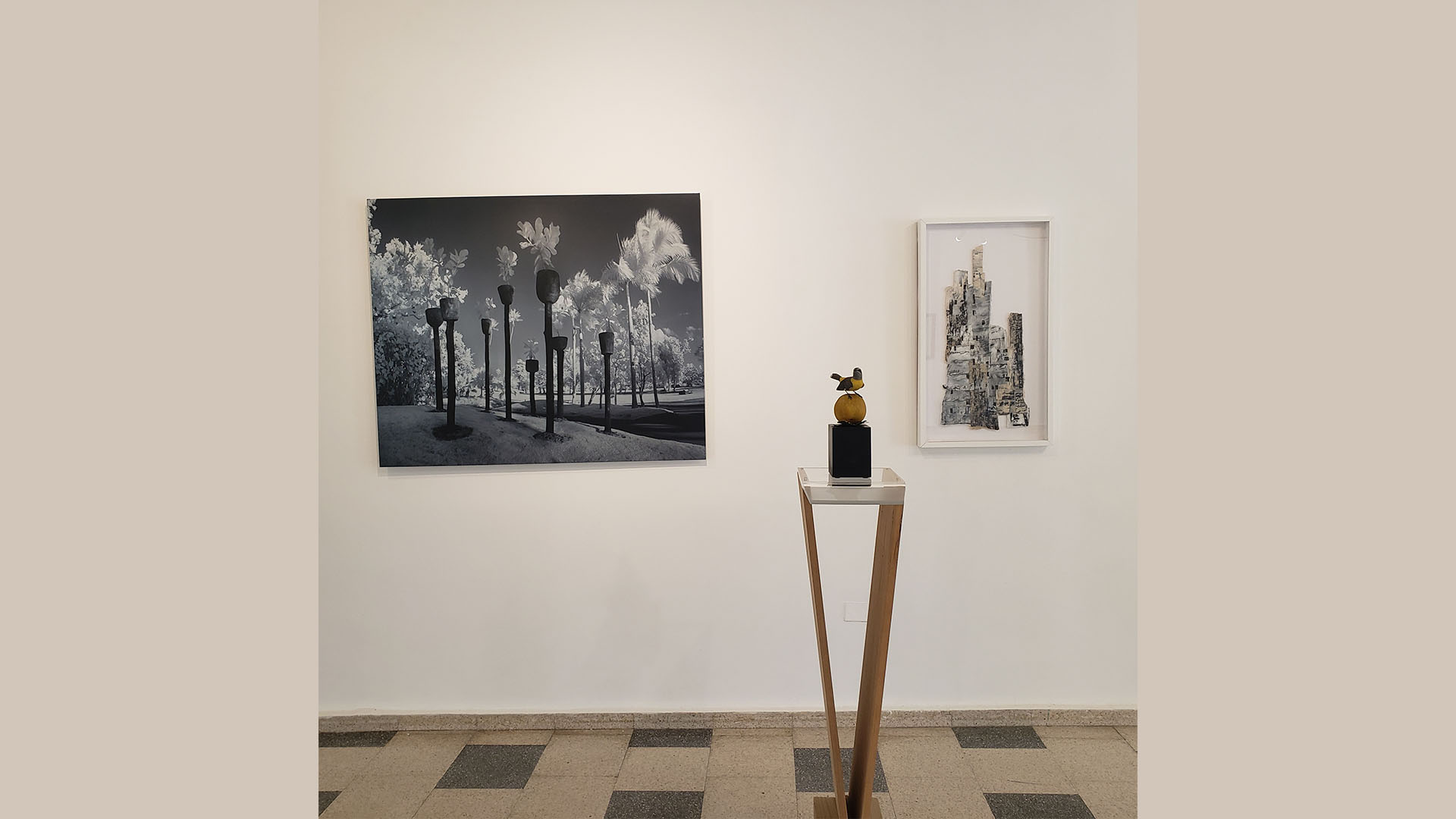 Mata Palo, Salvi Colom / Reinita, Alex Ríos Fernández / De las Torres de Babel, Jaime Suárez