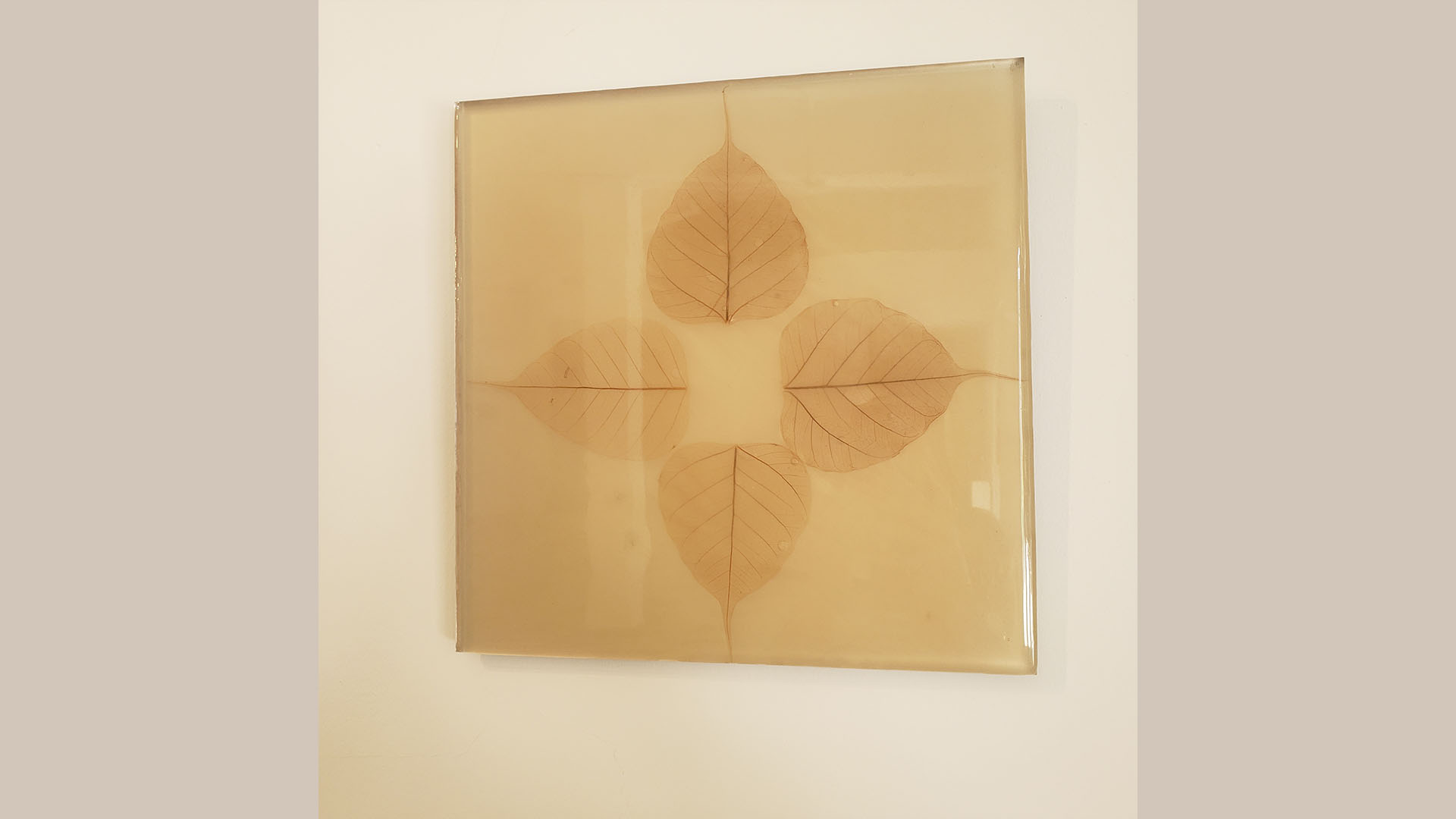 Lumina Bodhi Gris, Miya Ando