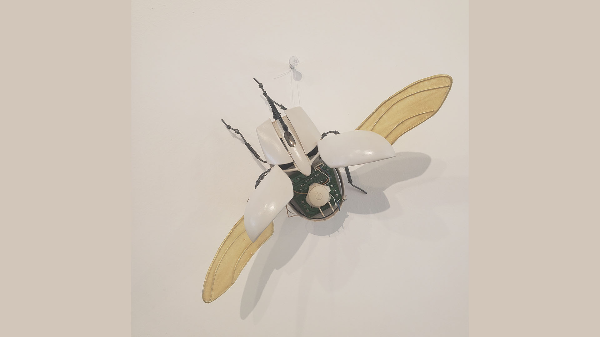 Escarabajo, José “Quique” Rivera