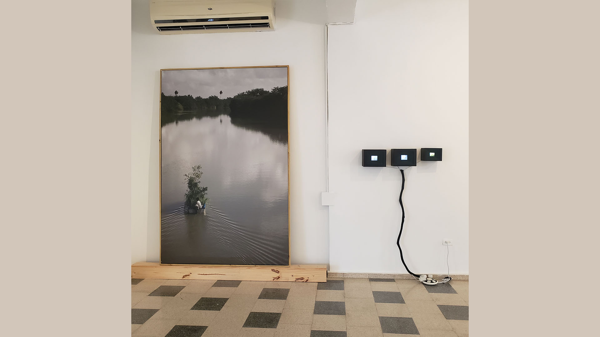 Boat Tree, Omar Camillo / Formed, José Soto